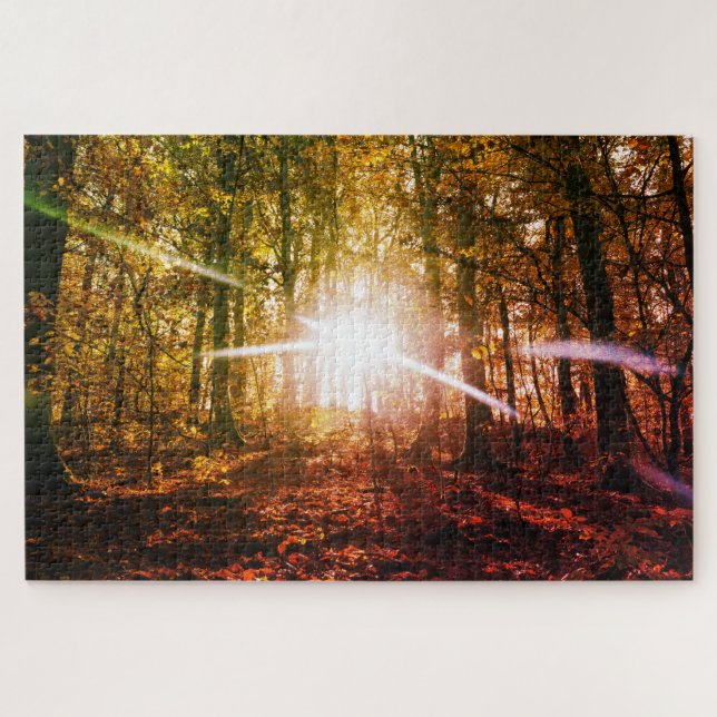 Sonne im Herbstwald (Horizontal)