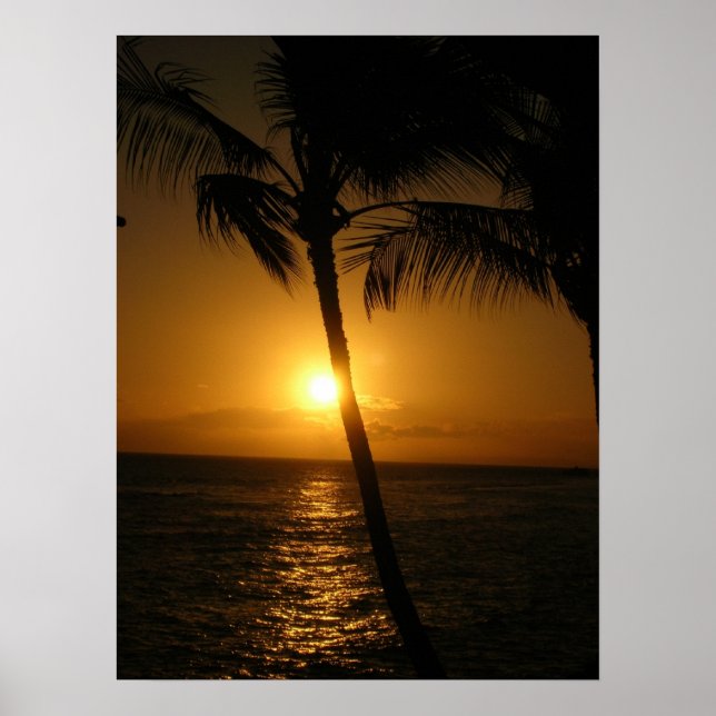 Sonne in den Bäumen, Abstieg Poster (Vorne)