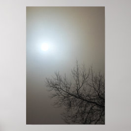 Sonne, Nebel, Baum - Ohio Poster