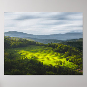 Sonne scheint auf ein Feld mit Terrassen Poster
