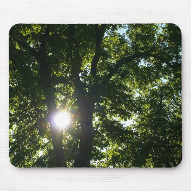 Sonne strahlt durch Bäume Mousepad (Vorne)