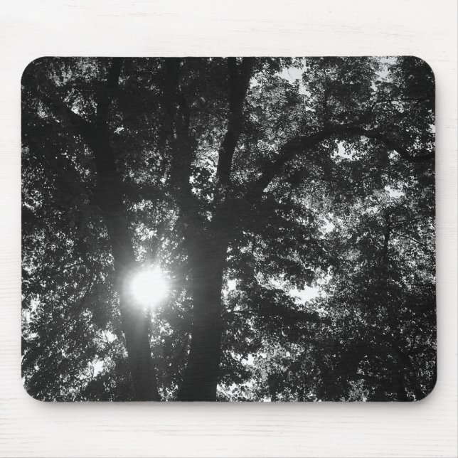 Sonne strahlt durch Bäume Mousepad (Vorne)