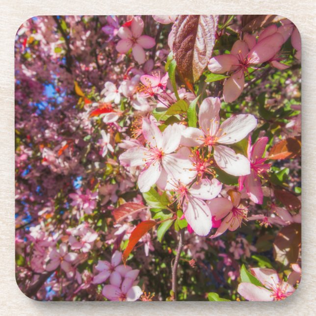 Sonne und Wolken Die Natur blüht Herz in Blume Getränkeuntersetzer (Vorderseite)