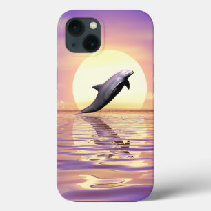 Sonnen-Delfin title_seo2