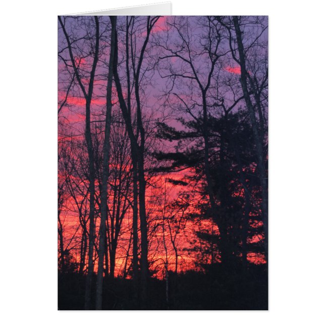 Sonnenaufgang (Vorne)