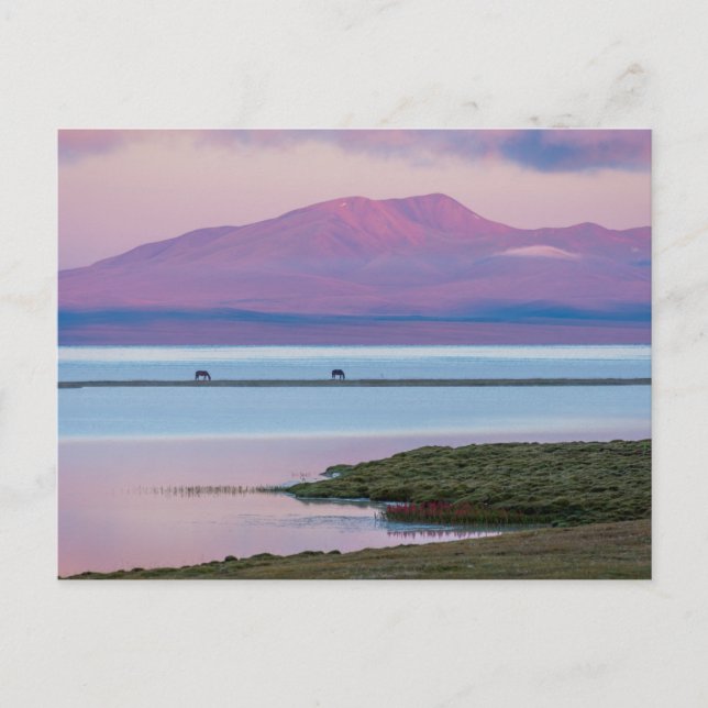Sonnenaufgang am See Song Kul Postkarte (Vorderseite)