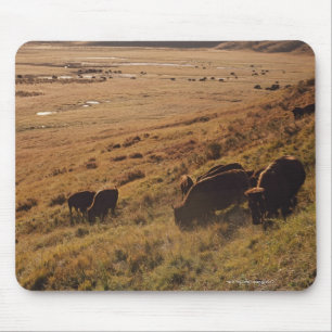 Sonnenaufgang auf Bison Mousepad