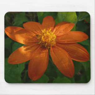 Sonnenaufgang auf der mexikanischen Sonnenblume Or Mousepad