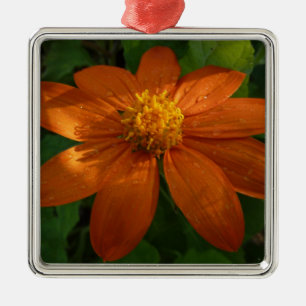 Sonnenaufgang auf der mexikanischen Sonnenblume Or Ornament Aus Metall