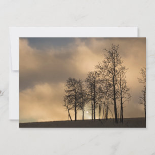 Sonnenaufgang auf Wolken und Bäumen Dankeskarte