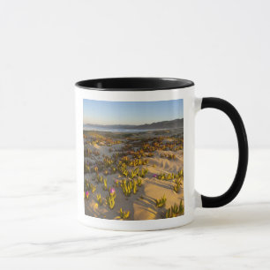 Sonnenaufgang beleuchtet die Sanddünen und Feigenk Tasse