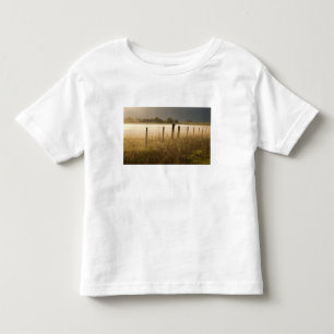 Sonnenaufgang beleuchtet Nebel entlang Zaun nahe Kleinkind T-shirt