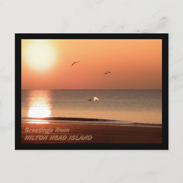 Sonnenaufgang, Delphine und Schluchten Postkarte (Vorderseite)