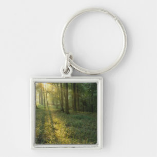 Sonnenaufgang durch Eichen- und Hickorywald, Mammo Schlüsselanhänger