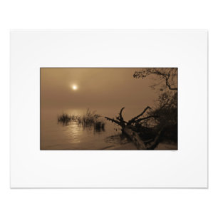 Sonnenaufgang durch Nebel auf Winyah Bucht Fotodruck