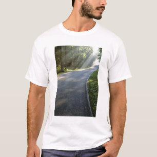 Sonnenaufgang durch Nebel entlang des Green River T-Shirt