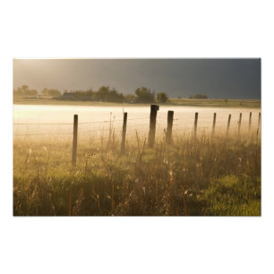 Sonnenaufgang erhellt Nebel entlang des Zauns nahe Fotodruck