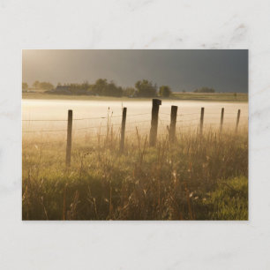 Sonnenaufgang erhellt Nebel entlang des Zauns nahe Postkarte