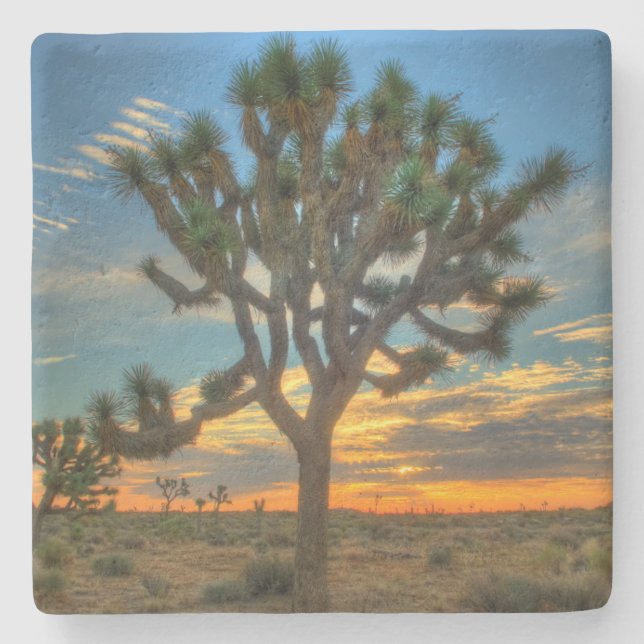 Sonnenaufgang im Joshua-Baum-Nationalpark Steinuntersetzer (Vorderseite)