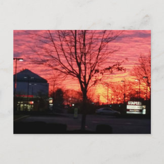 Sonnenaufgang im Schinken, Massachusetts Postkarte