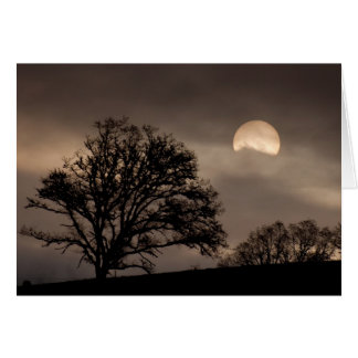 Sonnenaufgang im Umpqua-Tal