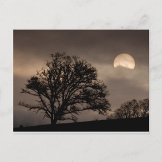 Sonnenaufgang im Umpqua-Tal Postkarte