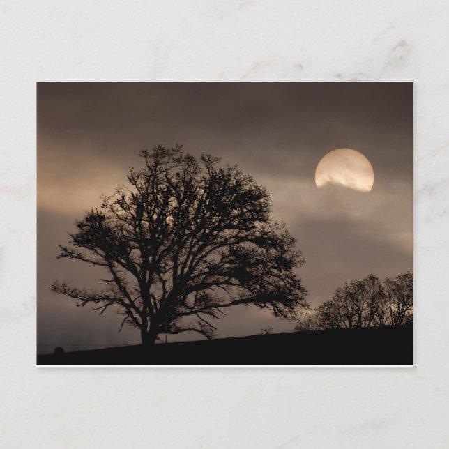 Sonnenaufgang im Umpqua-Tal Postkarte (Vorderseite)