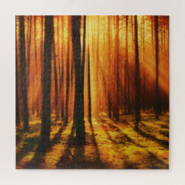 Sonnenaufgang im Wald