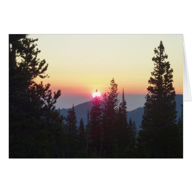 Sonnenaufgang im Wald am Rocky Mountain (Vorderseite (Horizontal))