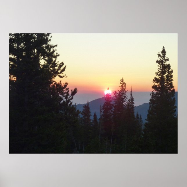 Sonnenaufgang im Wald am Rocky Mountain Poster (Vorne)