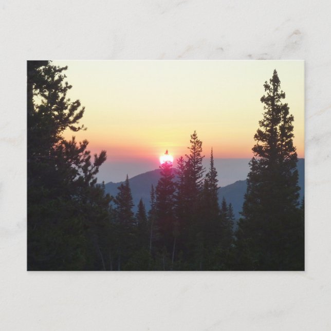 Sonnenaufgang im Wald am Rocky Mountain Postkarte (Vorderseite)