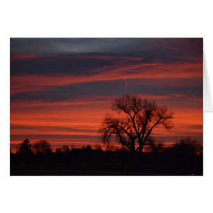 Sonnenaufgang in Harper See