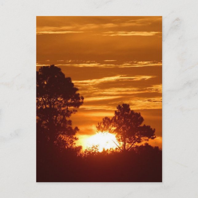 Sonnenaufgang in Louisiana Postkarte (Vorderseite)