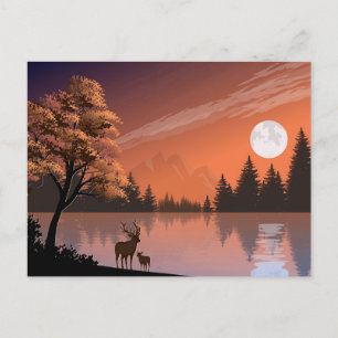 Sonnenaufgang Landschaft mit See und Deers-51207 Einladungspostkarte