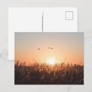 Sonnenaufgang Naturfoto Feiertagspostkarte