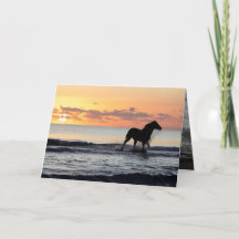 Sonnenaufgang Pferd im Wasserpferd Grußkarte