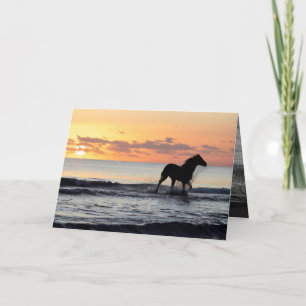 Sonnenaufgang Pferd im Wasserpferd Grußkarte Karte