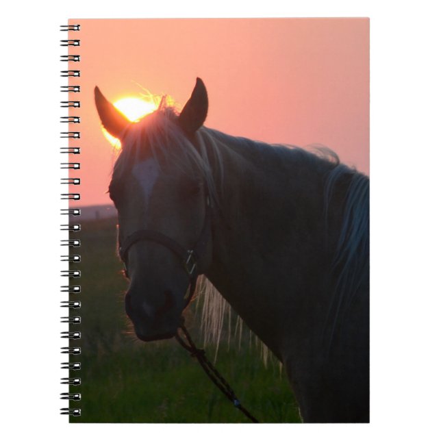 Sonnenaufgang-Pferd Notizblock (Vorderseite)