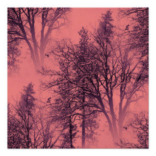 Sonnenaufgang. Poster