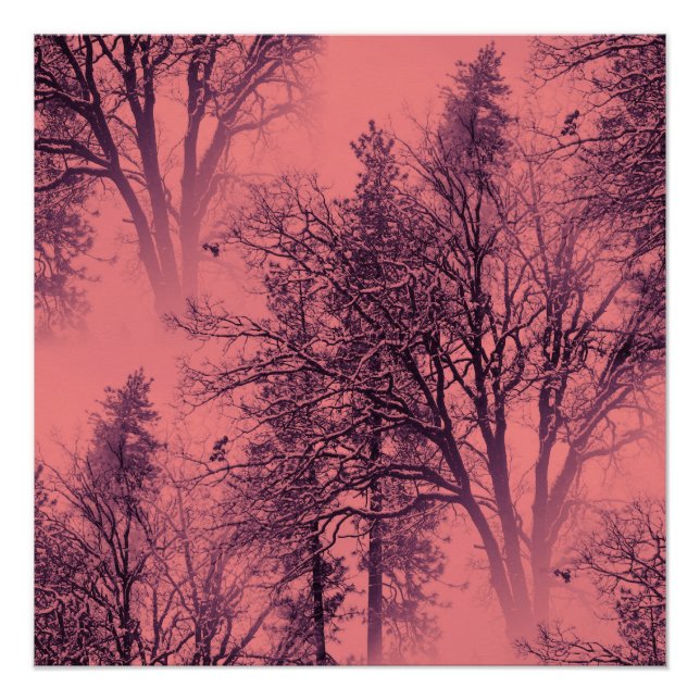 Sonnenaufgang. Poster (Vorderseite)