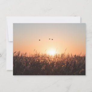 Sonnenaufgang-Schildkröte-Natur-Fotokarte