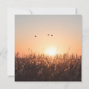 Sonnenaufgang-Schildkröte-Natur-Fotokarte