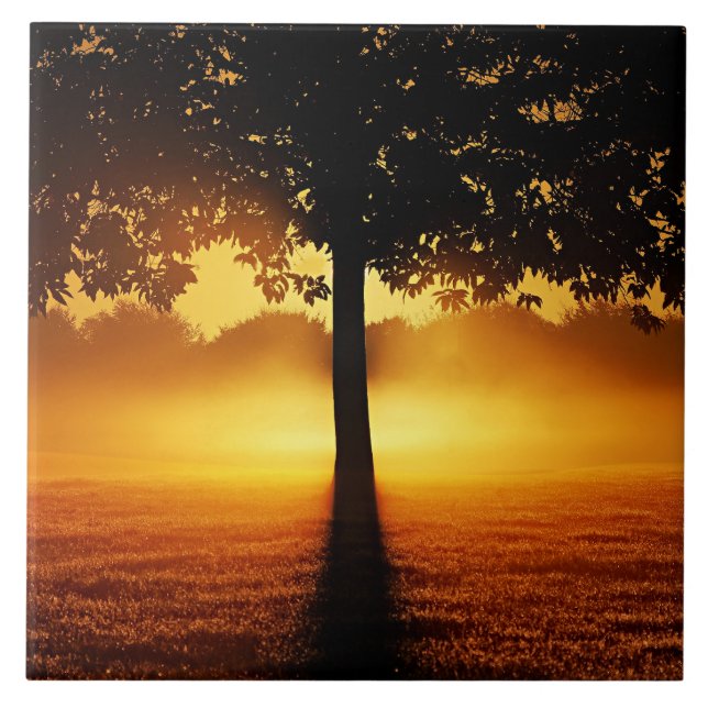 Sonnenaufgang, Silhouette der Bäume, Fliese (Vorderseite)