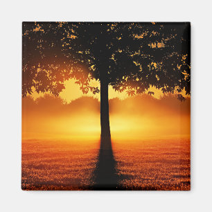 Sonnenaufgang Silhouette Magnet