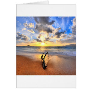 Sonnenaufgang-Treibholz-Strand