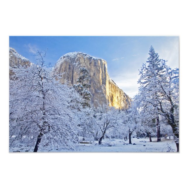 Sonnenaufgang trifft El Capitan durch Schnee Fotodruck (Vorne)