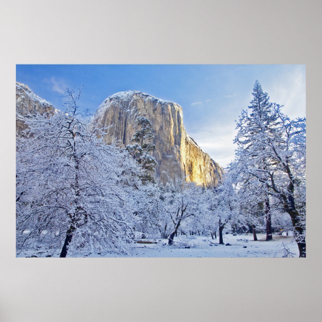 Sonnenaufgang trifft El Capitan durch Schnee Poster (Vorne)