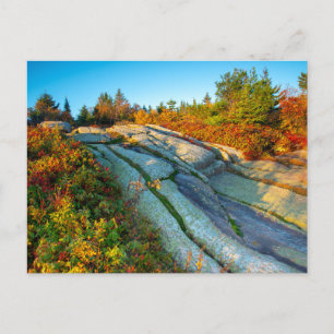 Sonnenaufgang über dem Cadillac Mountain Postkarte