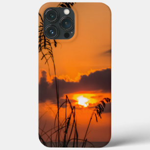 Sonnenaufgang über dem Horizont title_seo2