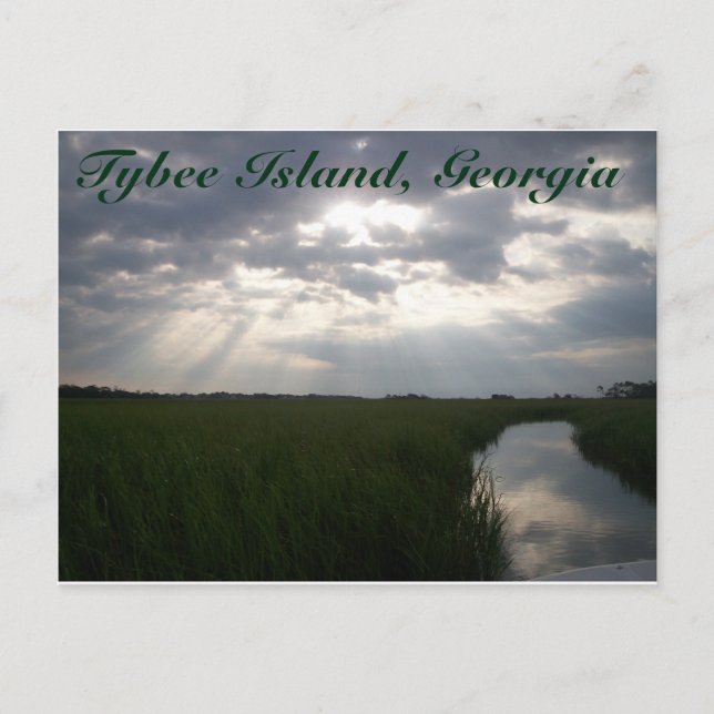 Sonnenaufgang über dem Salzmarsch | Tybee Island,  Postkarte (Vorderseite)